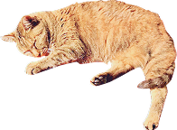 装飾：猫（茶）