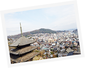 写真：上から見おろした尾道市街