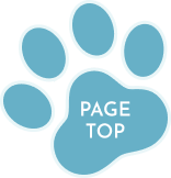 ボタン：PAGE TOP